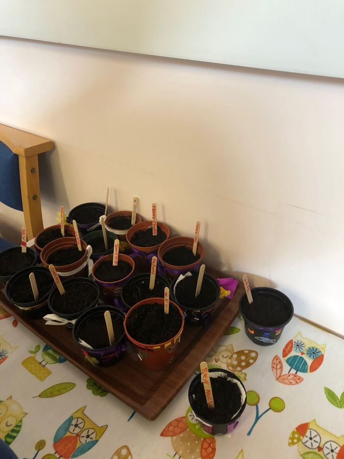 Messy Church Planting Activity